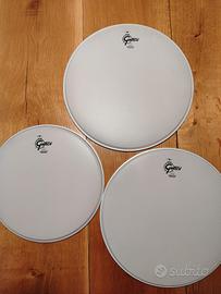 3 pelli REMO Ambassador marchiate Gretsch