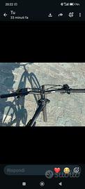 bici elettrica momodesign