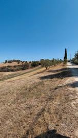 Terreno Agricolo