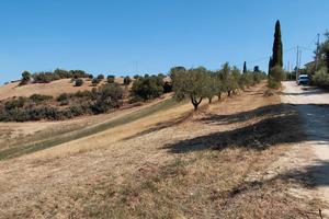 Terreno Agricolo