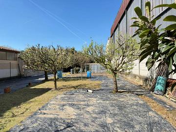 Terreno Residenziale Miradolo Terme