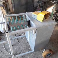 Pela polli artigianale