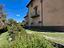 Immagine 7