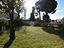 Immagine 14