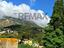 Immagine 12