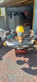  kart  motore tm 125 kz