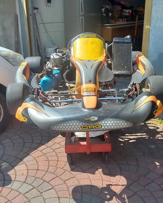  kart  motore tm 125 kz