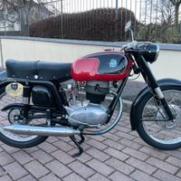 MV Agusta Altro modello - 1961