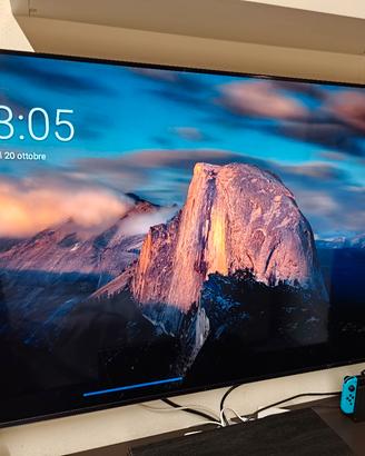 Sony bravia XR-55A80J