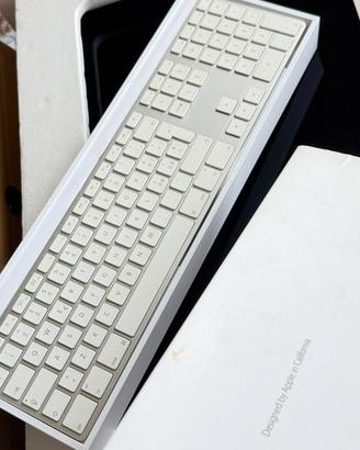 macOS Catalina . Colore griglio .