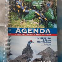 Agenda CAI 2010