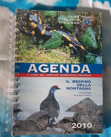 Agenda CAI 2010