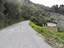 Immagine 7