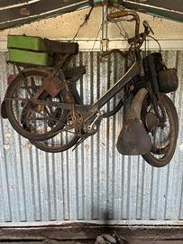 Motorino solex