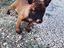 Immagine 3