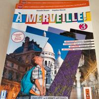 A Merveille!  3