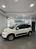 fiat-panda-1-0-firefly-s-s-hybrid-red-adatta-per-n