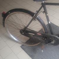 bici Bottecchia 