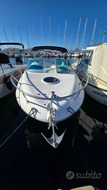 Sessa islamorada 23