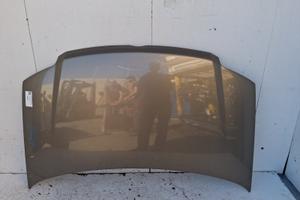 51876323 COFANO ANTERIORE FIAT PANDA (169) 1.3 MUL