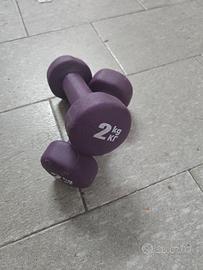 Coppia manubri 2kg