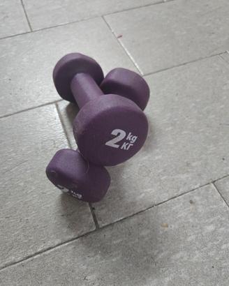 Coppia manubri 2kg