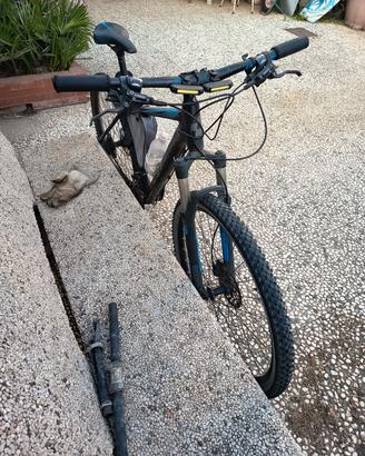 Antonio Cammilleri -  bici 29L