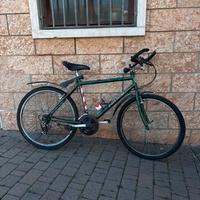 Bicicletta Stella Alpina