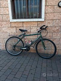 Bicicletta Stella Alpina