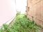 Immagine 24