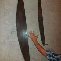 Vecchie SEGHE da boscaiolo a due mani