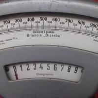 Bilancia professionale vintage Bizerba 