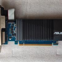 Scheda video ASUS NVIDIA 2Gb GDDR5 GT710-SL-2GD5