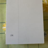 Fixed Wireless Access.MF297D