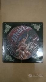 dichi in vinili Lp e cd