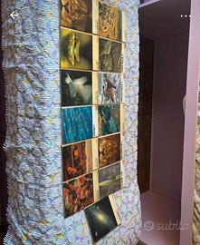 Libri
