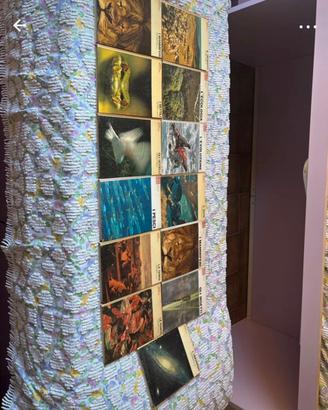 Libri