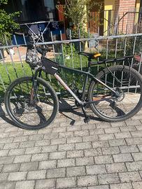 Bici moontaby