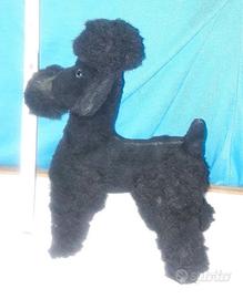 Peluche Barboncino nero impagliato anni 60 rarità