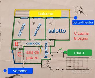 Zona Tranquilla SERVIZI TRASPORTI CURA BENESSERE