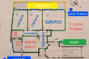 Zona Tranquilla SERVIZI TRASPORTI CURA BENESSERE