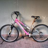 Bicicletta OLMO
