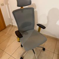 Sedia da Ufficio Ergonomica con Poggiatesta