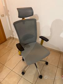 Sedia da Ufficio Ergonomica con Poggiatesta