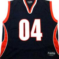 Maglia Jersey NBA 04 Basket U.S.A Jordan Craig