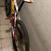 mountain bike professionale