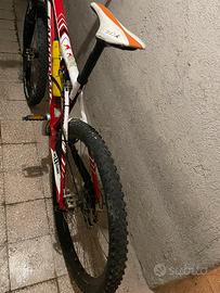 mountain bike professionale