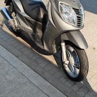 Malaguti Password 250 - 2008