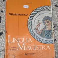 Lingua Magistra