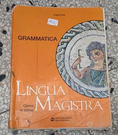 Lingua Magistra